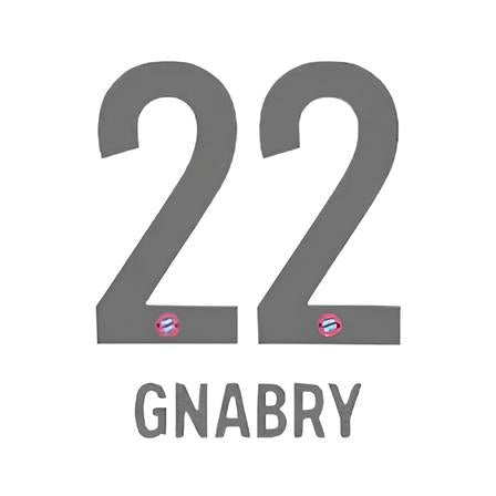 Germany 2020/21 Home Gnabry #20 Jersey Name Set 1
