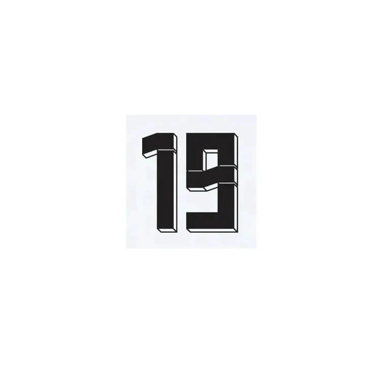 Germany 2024/25 Home Sane #19 Jersey Name Set 2