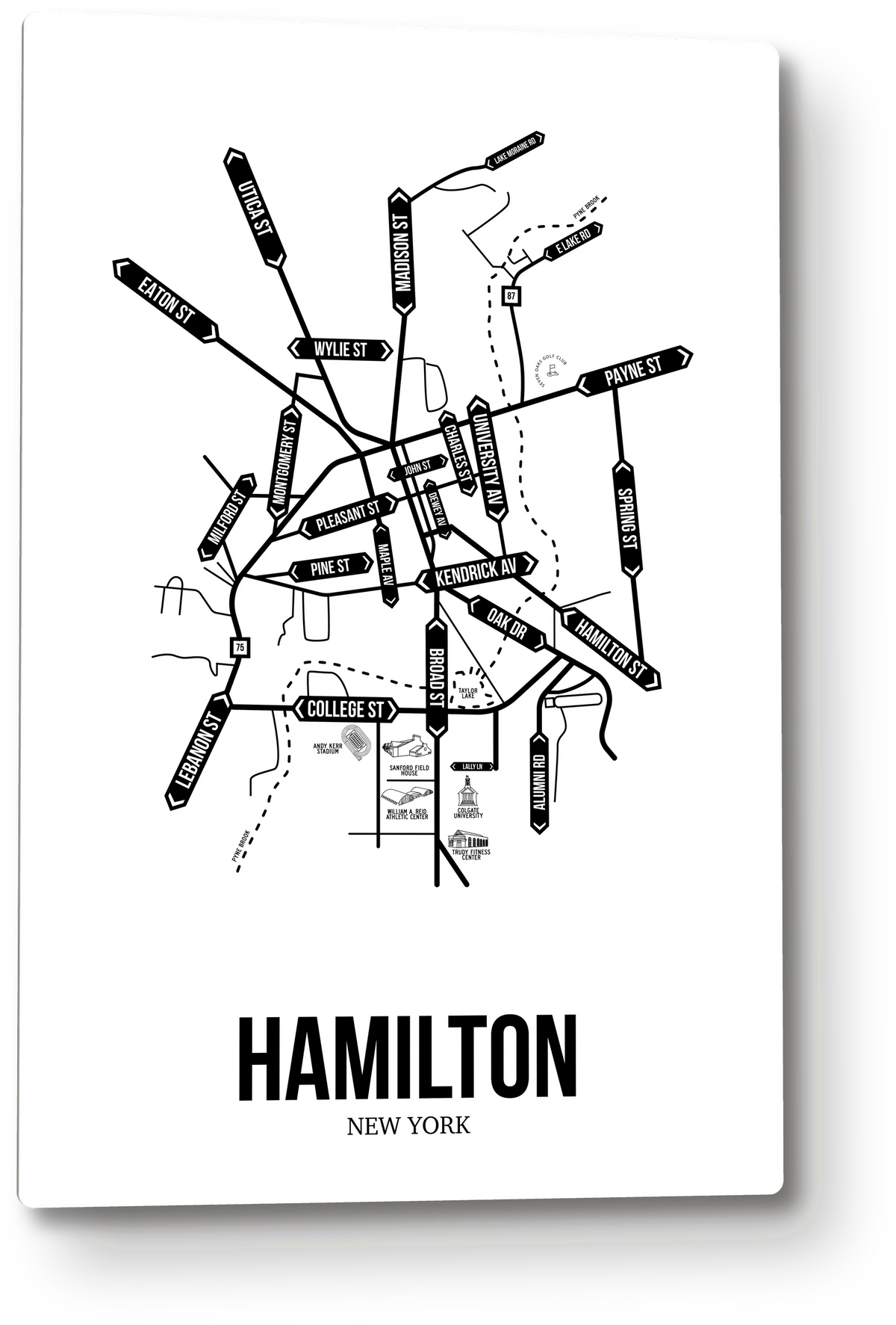 Hamilton, New York street map 8
