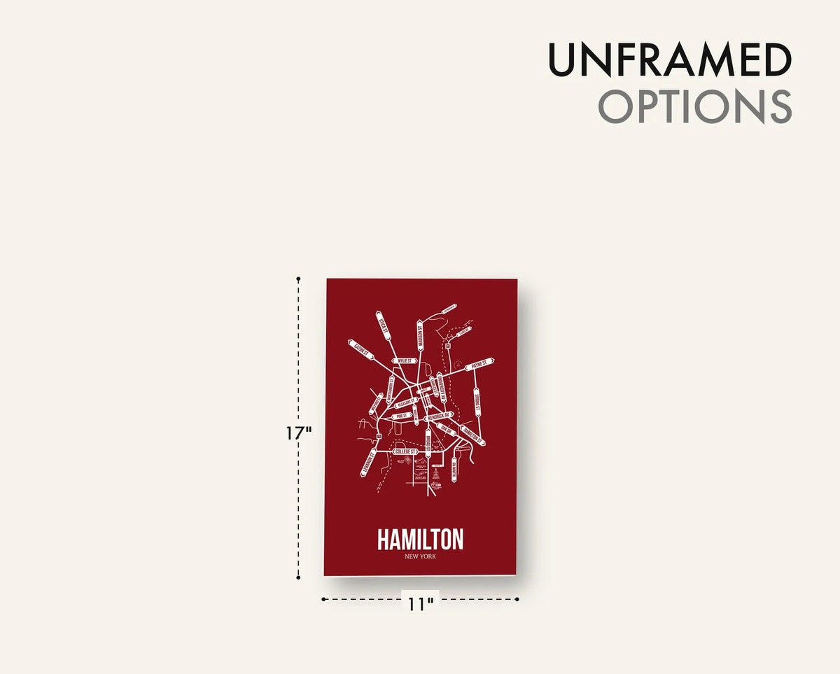 Hamilton, New York street map 17