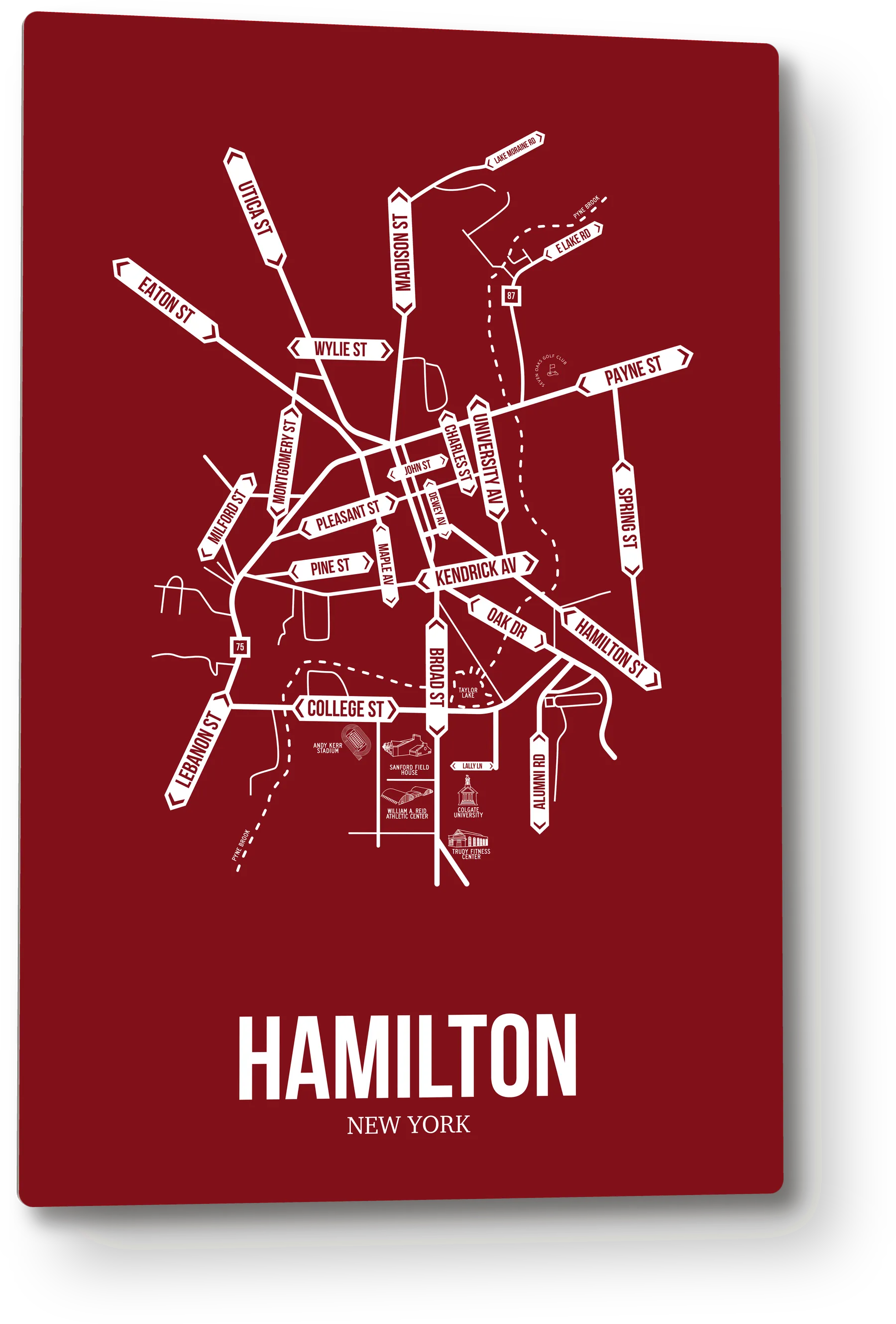 Hamilton, New York street map 1