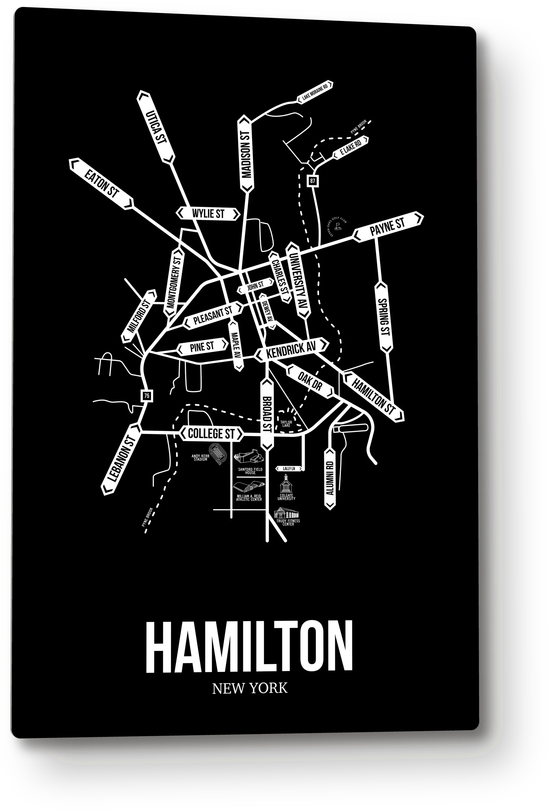 Hamilton, New York street map 9