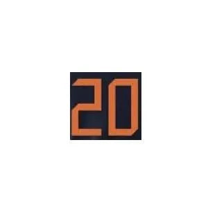Netherlands 2020/21 Away Van De Beek #22 Jersey Name Set