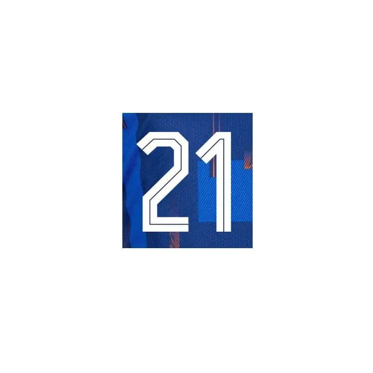 Netherlands 2024/25 Away F. De Jong #21 Jersey Name Set 2