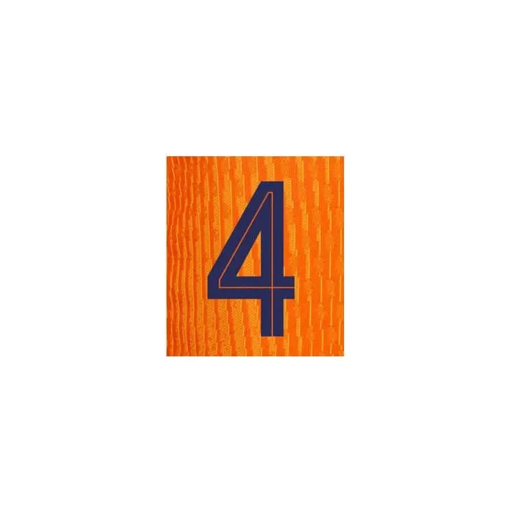 Netherlands 2024/25 Home Virgil #4 Jersey Name Set 2