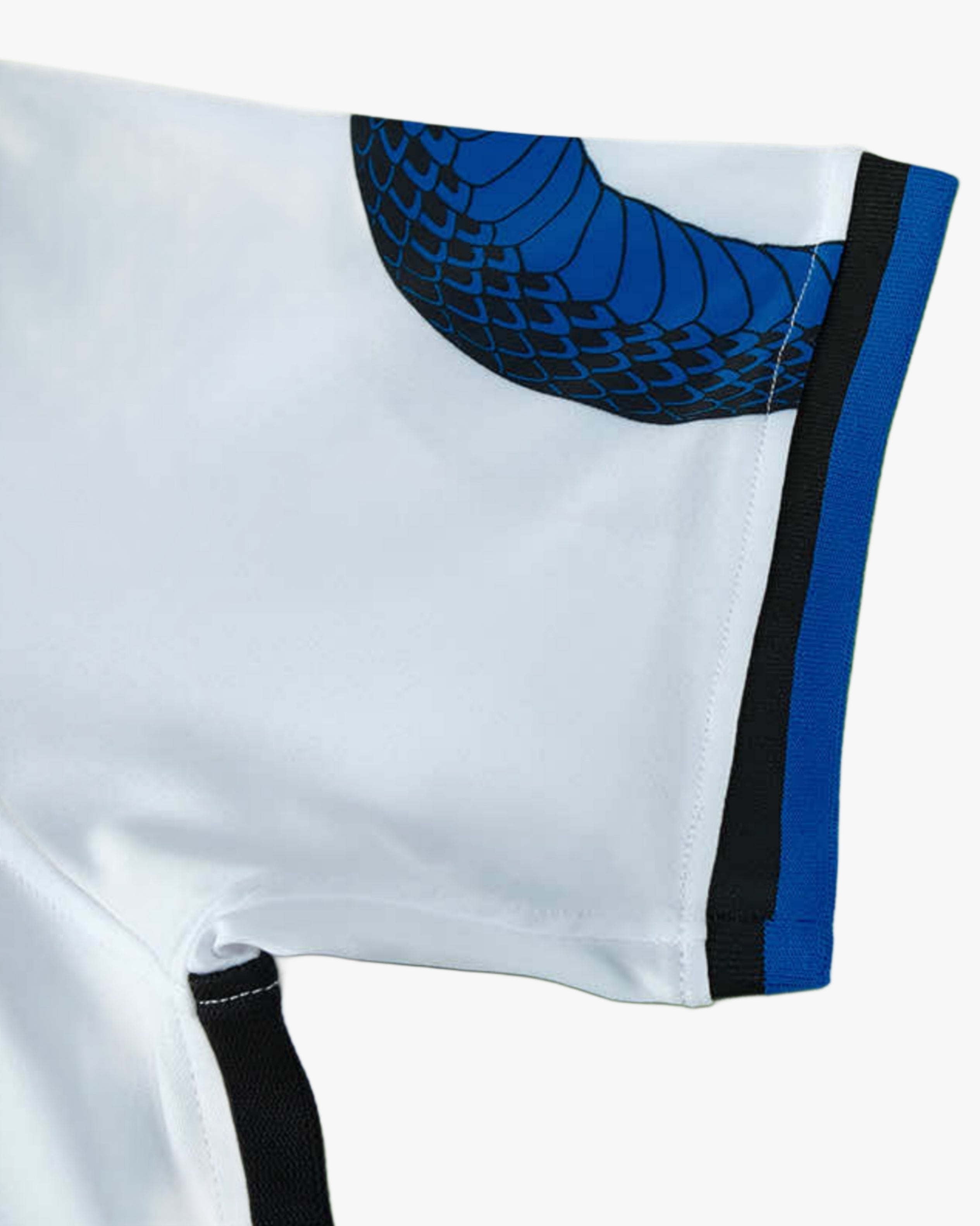 Nike Inter Milan Away 2021/22 3