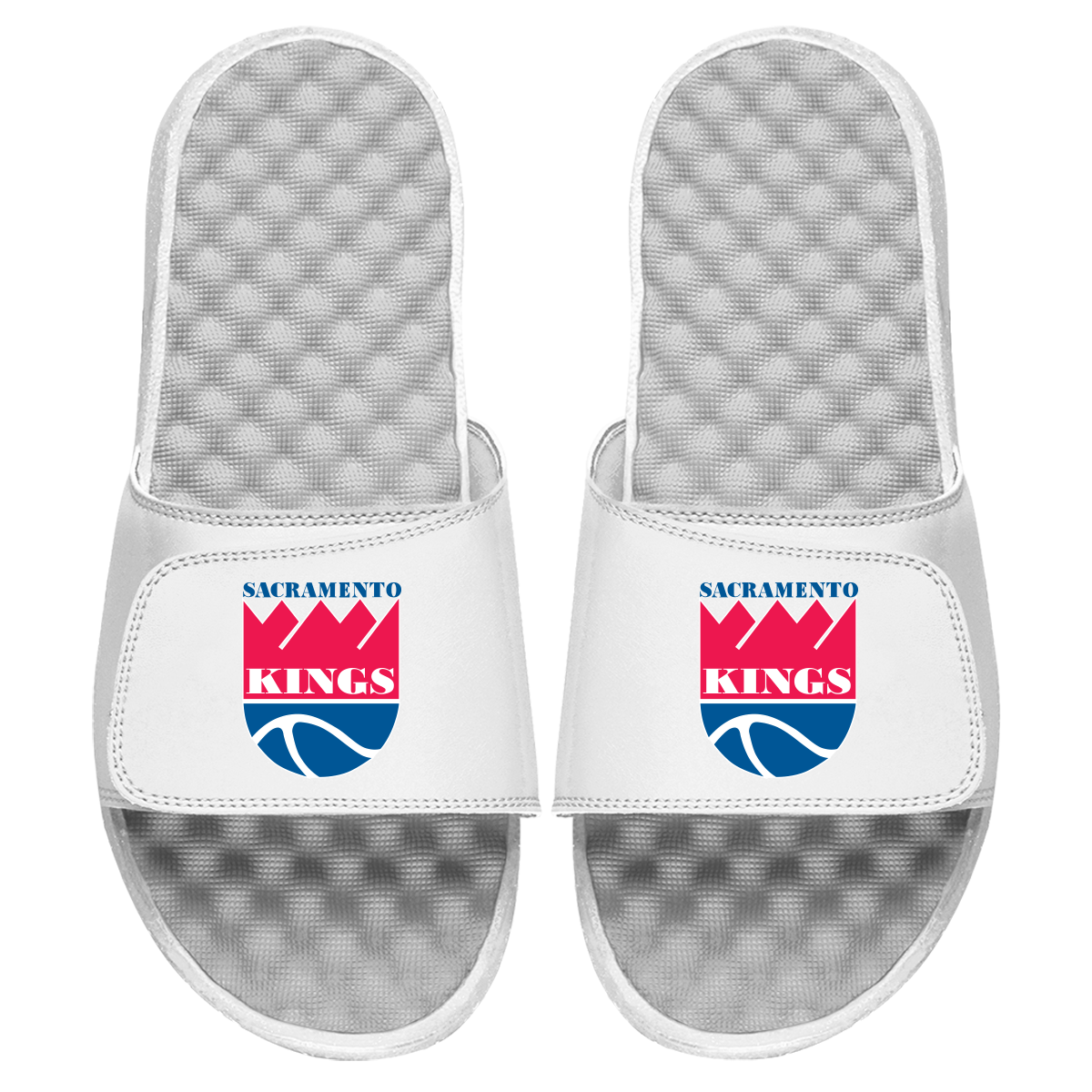 Sacramento Kings HWC Primary Slides 1