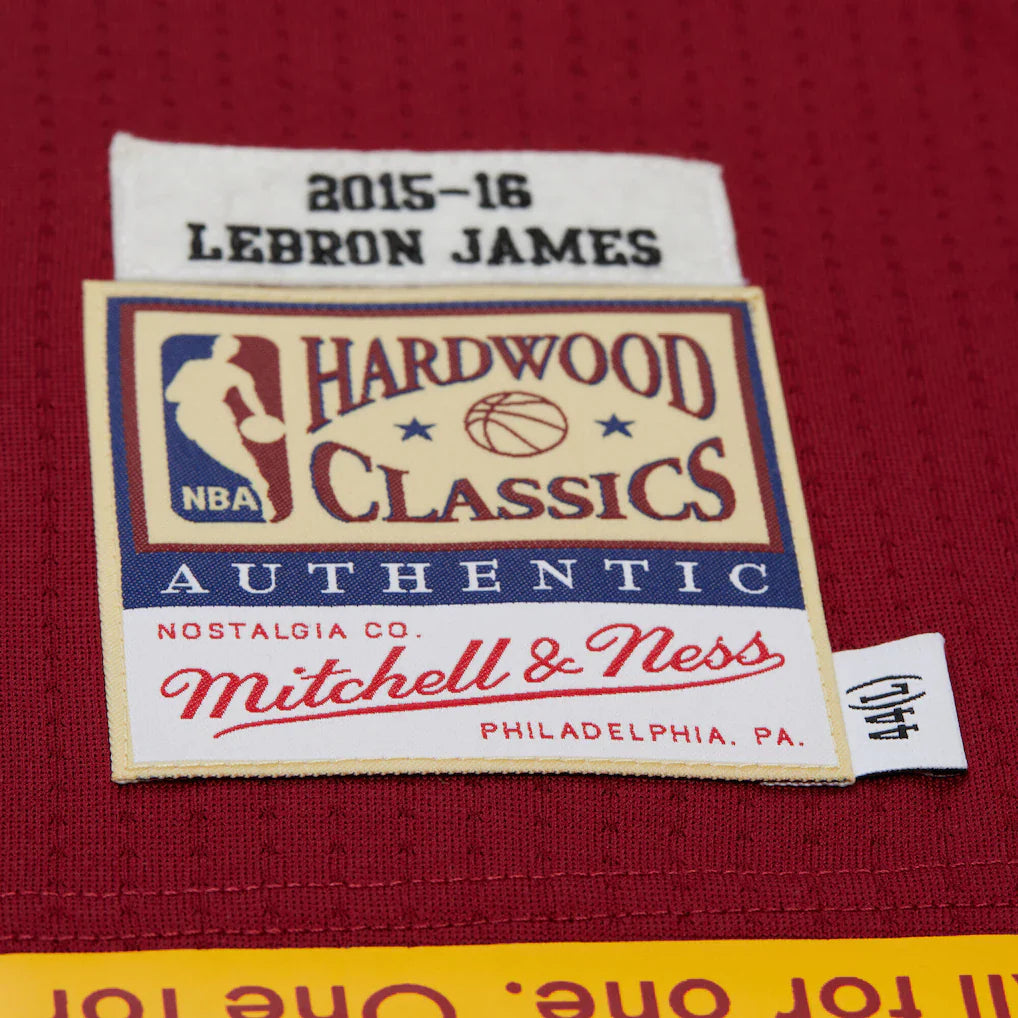 Cleveland Cavaliers - NBA 2015 Lebron James Swingman Road Jersey 4