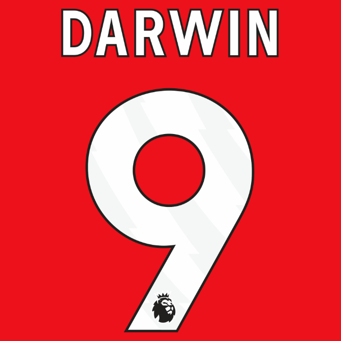 Liverpool 2023-Home DARWIN #9 Official Name Set-White 1