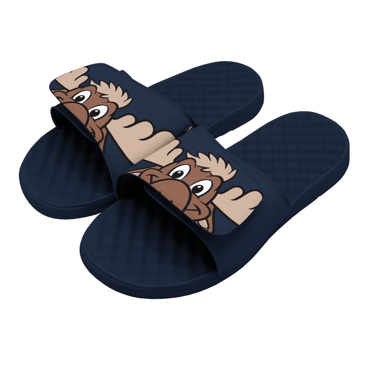 Seattle Mariners Mascot Slides 1