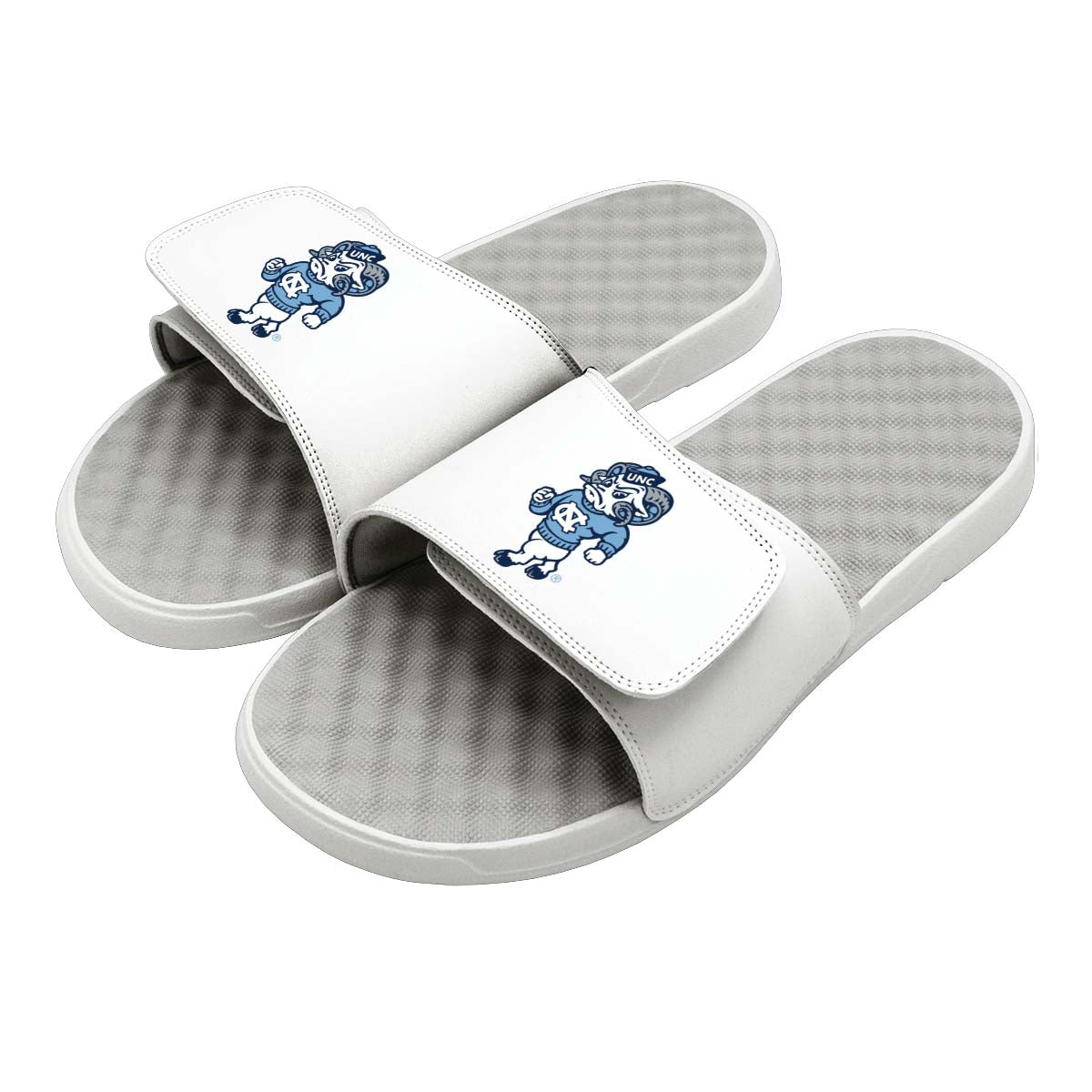 UNC Alternate Mascot Slides 1
