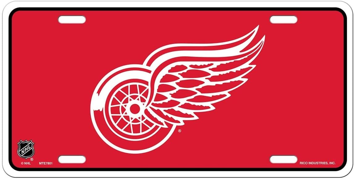 Detroit Red Wings Metal Auto Tag License Plate, Logo Design, 6x12 Inch