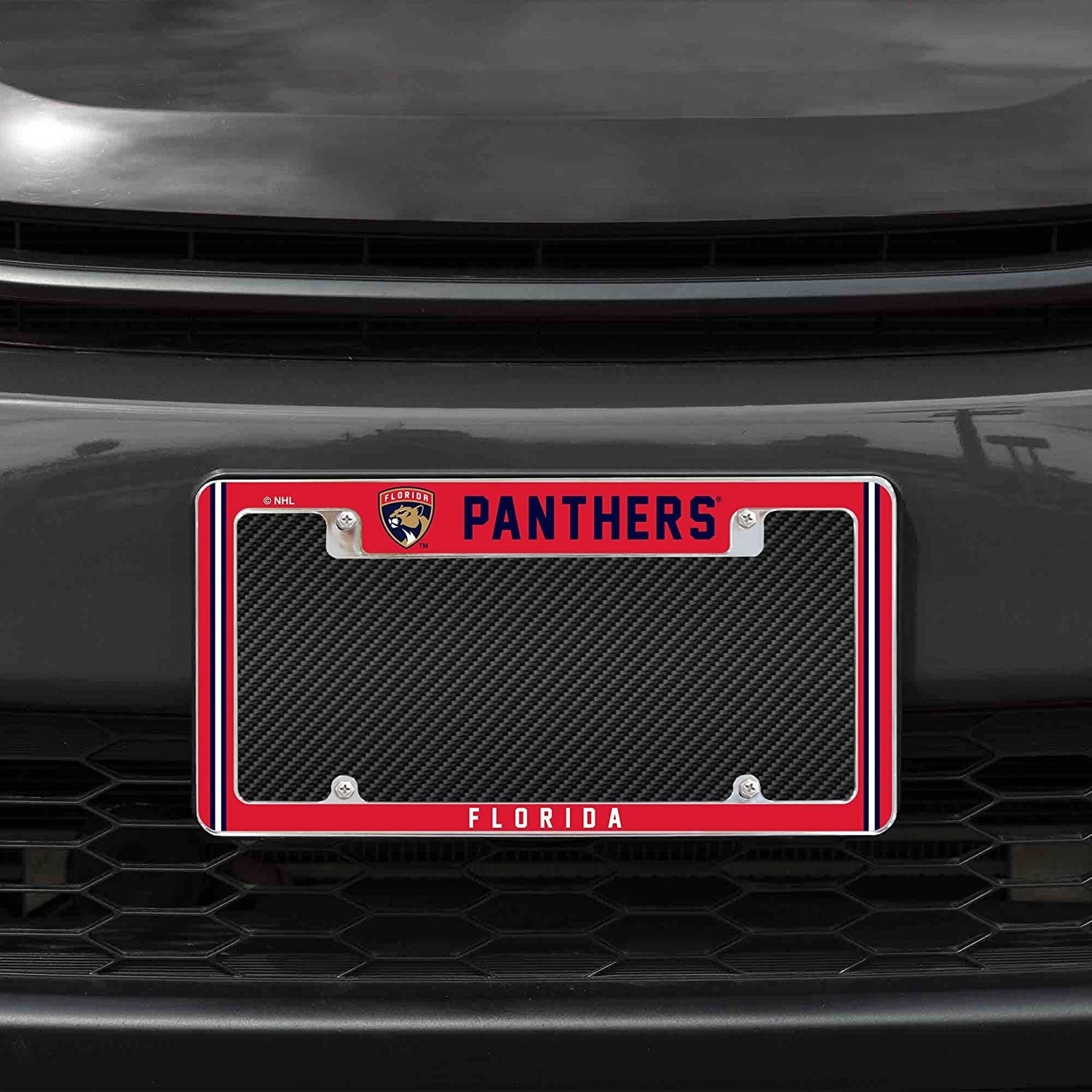 Florida Panthers Metal License Plate Frame Chrome Tag Cover Alternate Design 6x12 Inch