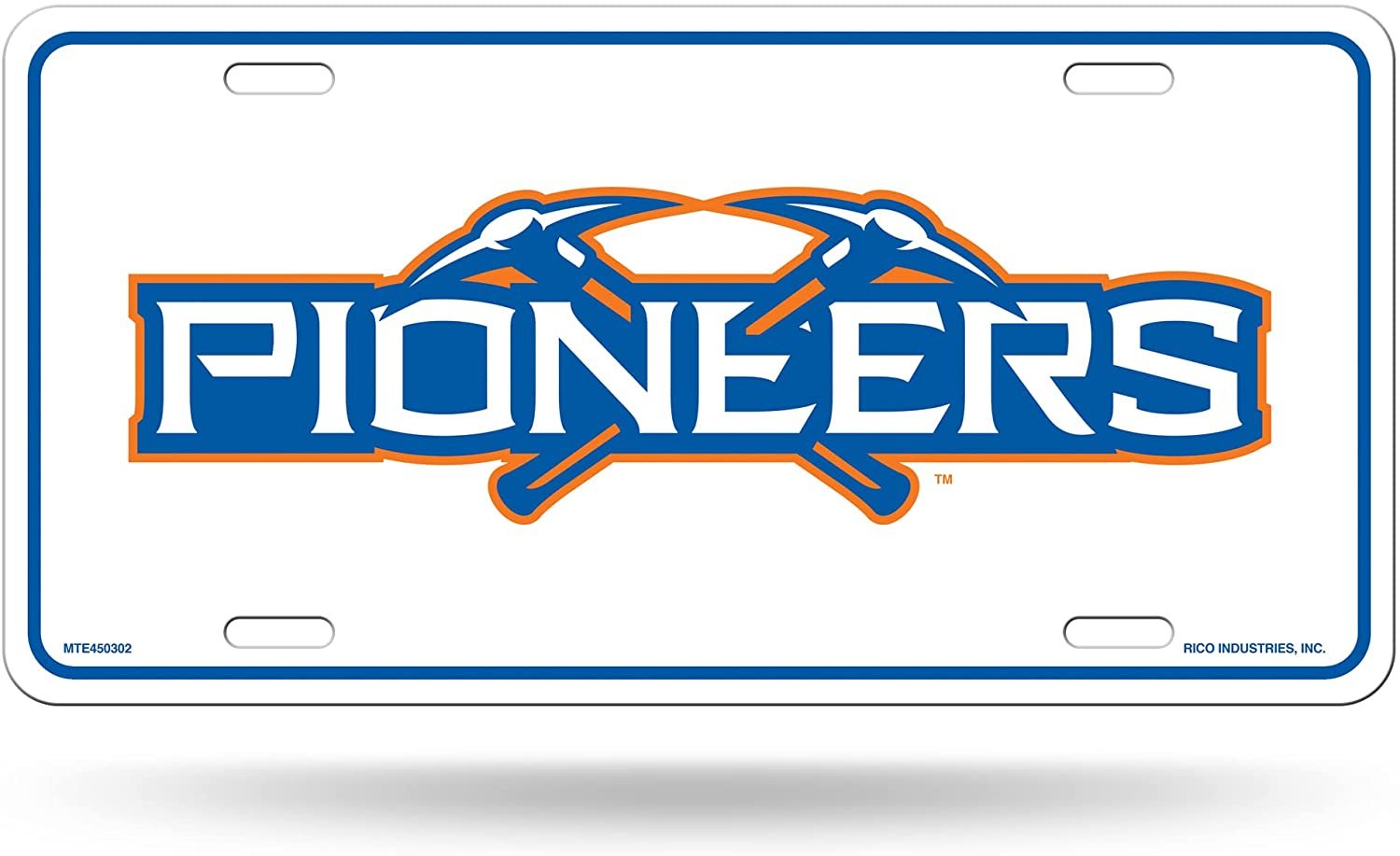 University of Wisconsin Platteville Pioneers Metal Auto Tag License Plate, Name Design, 6x12 Inch 1