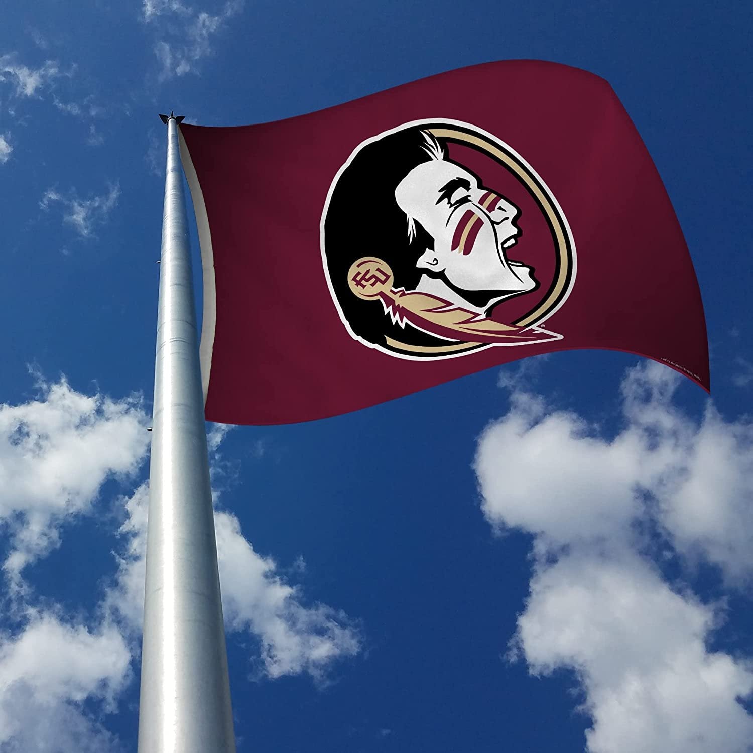 Florida State University Seminoles 3x5 Flag Banner Metal Grommets Outdoor Indoor 3