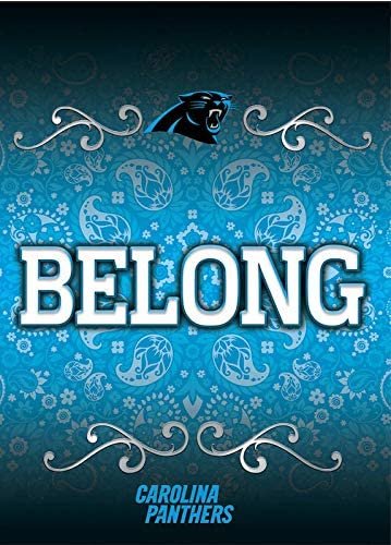Carolina Panthers Premium Garden Flag Banner, Double Sided, 13x18 Inch 2