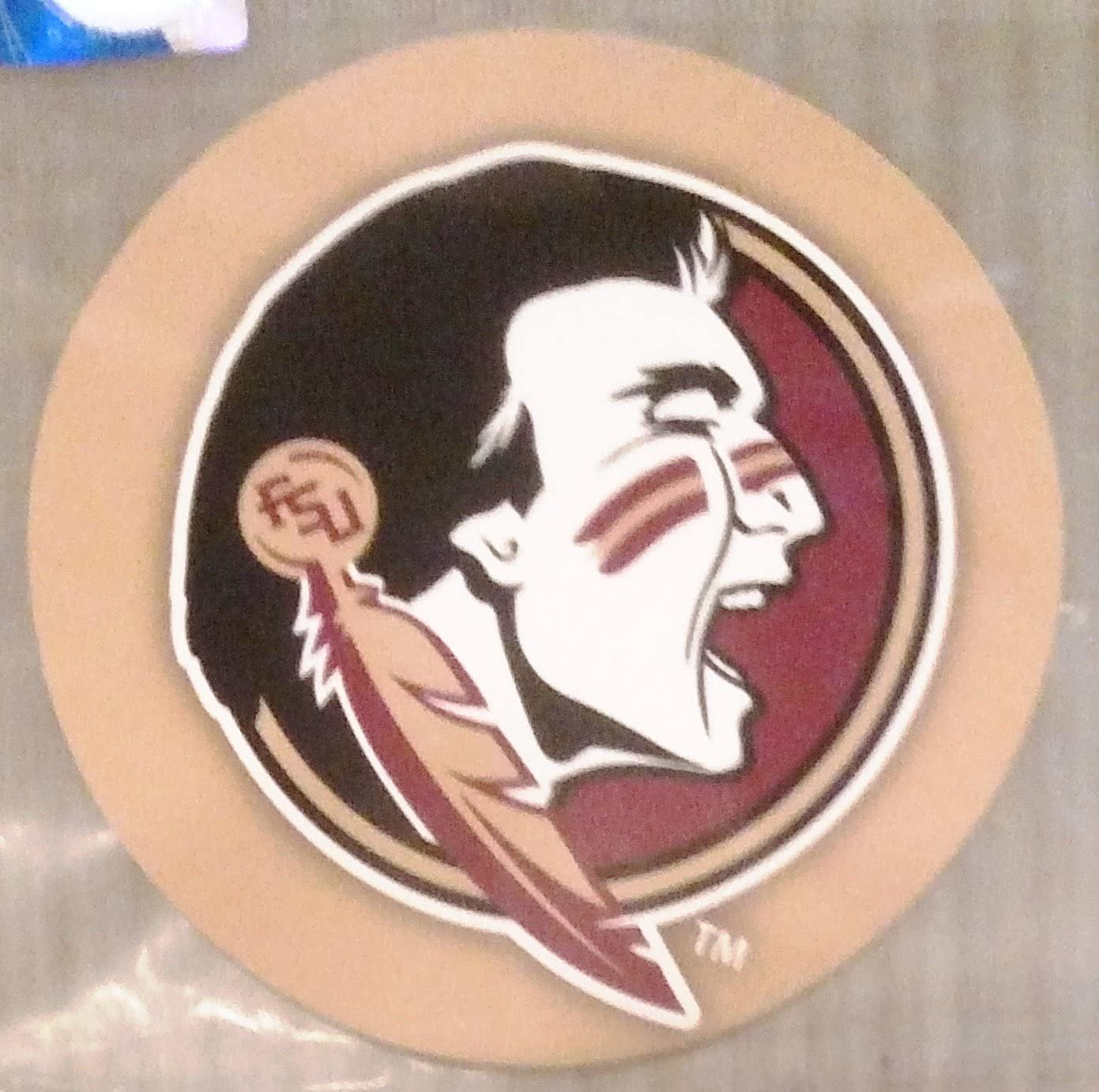 Florida State Seminoles FSU RR 4" Round Vinyl Decal Auto Home Glass University 1
