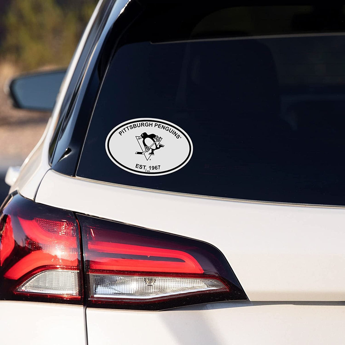 Tampa Bay Buccaneers Black and White Team Logo Oval Sticker Decal, 5 Inch 3