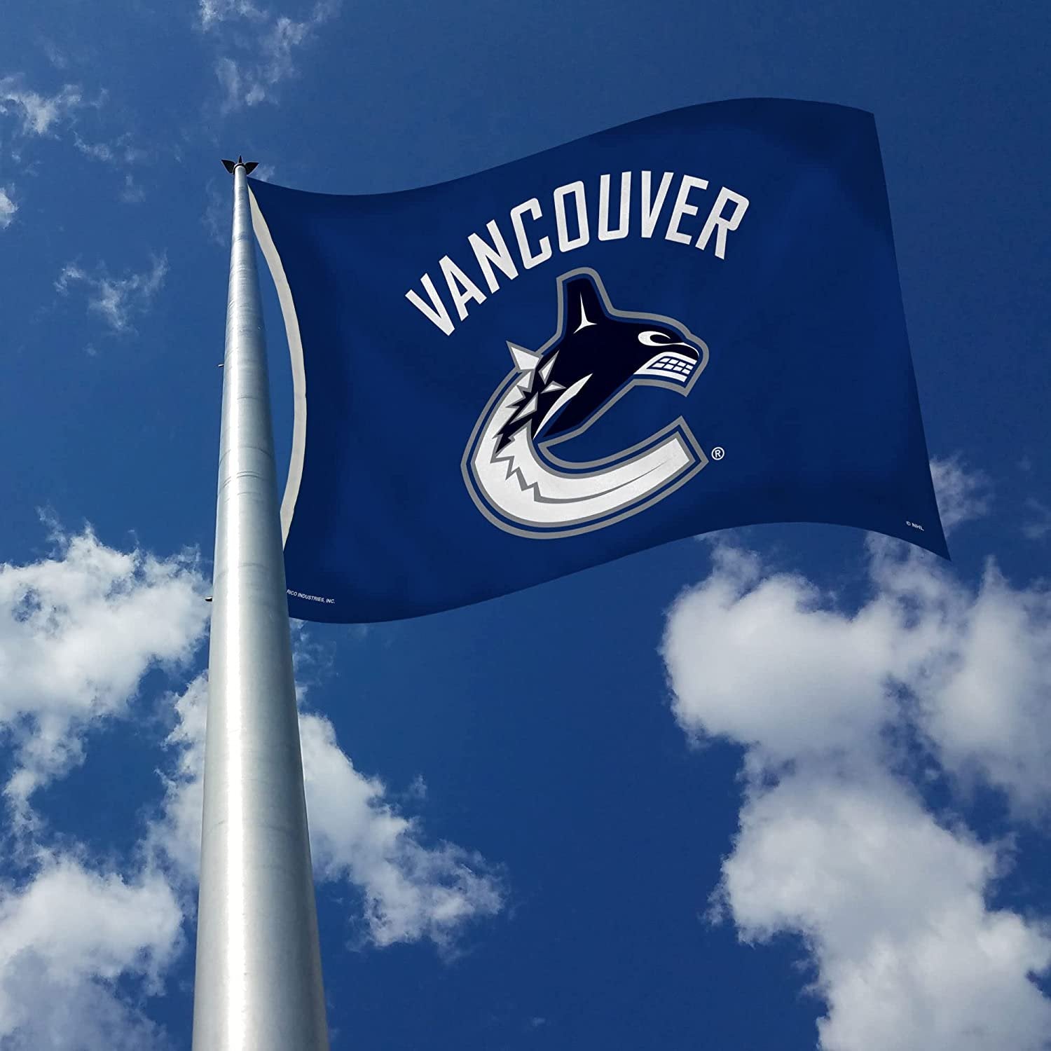 Vancouver Canucks 3x5 Flag Metal Grommets Outdoor House Banner 3
