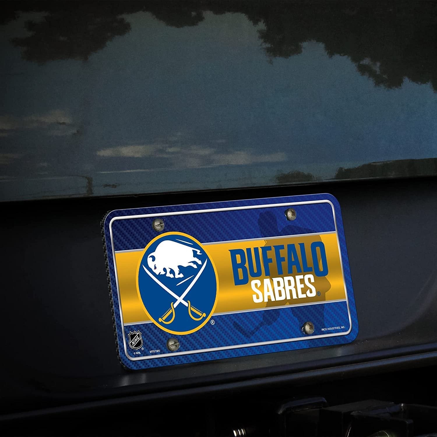 Buffalo Sabres Metal Auto Tag License Plate, City Design, 12x6 Inch 3