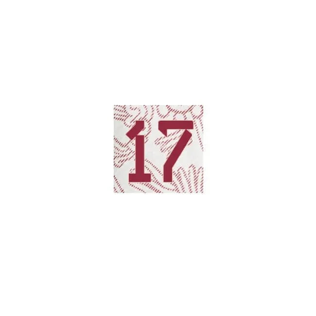 Mexico 2022-23 Away Pineda #17 Jersey Name Set 2