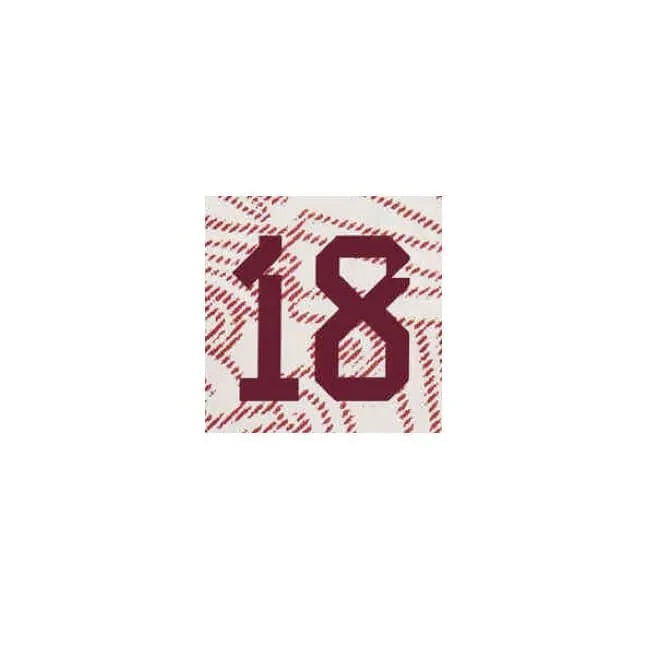 Mexico 2022/23 Away A. Guardado #18 Jersey Name Set 2