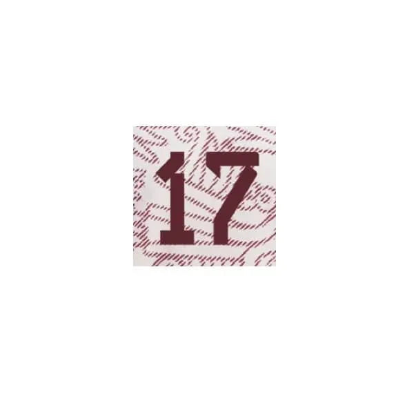 Mexico 2022/23 Away Jesus C. #17 Jersey Name Set 2