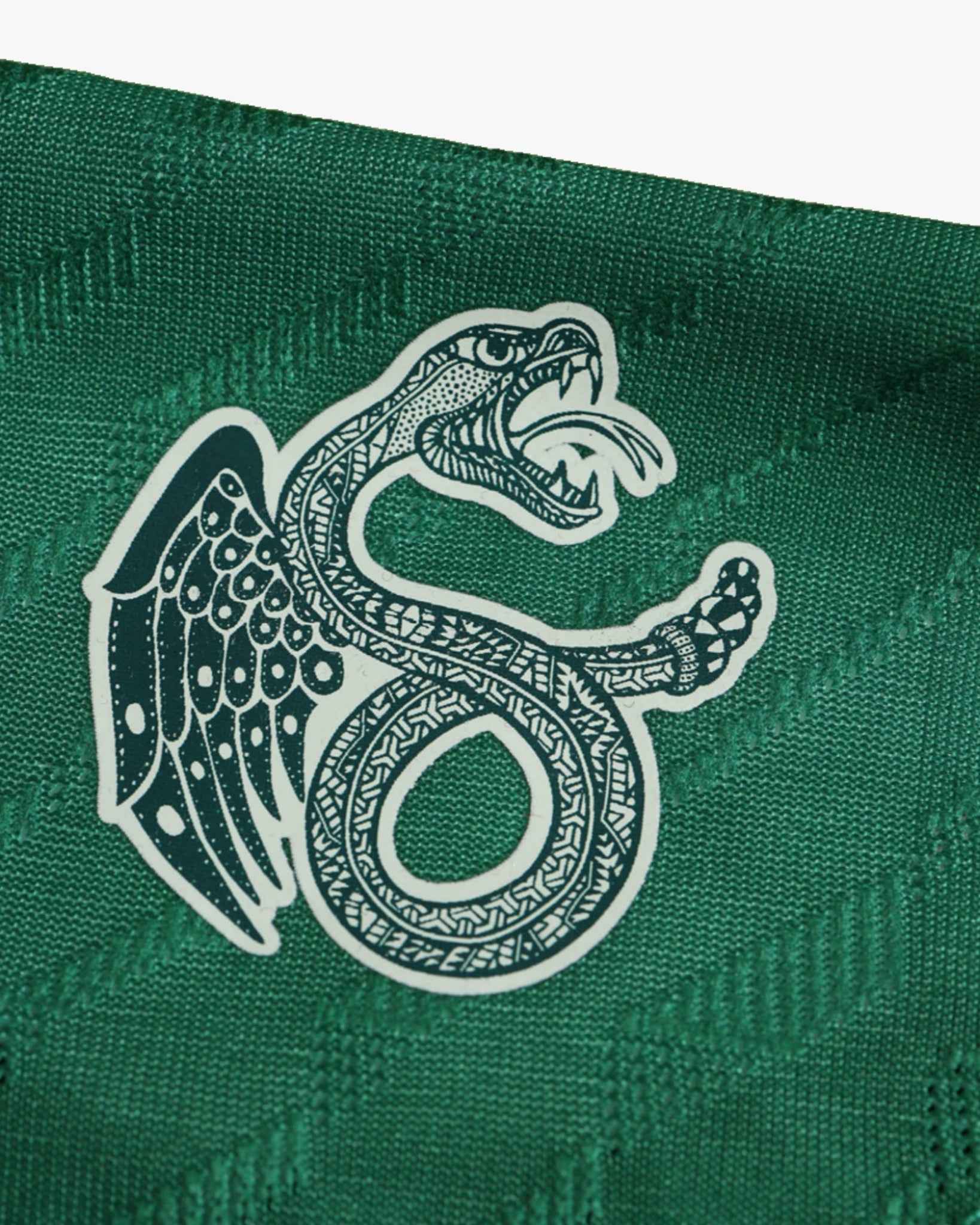 MEXICO SPECIAL EDITION 2024/25 7