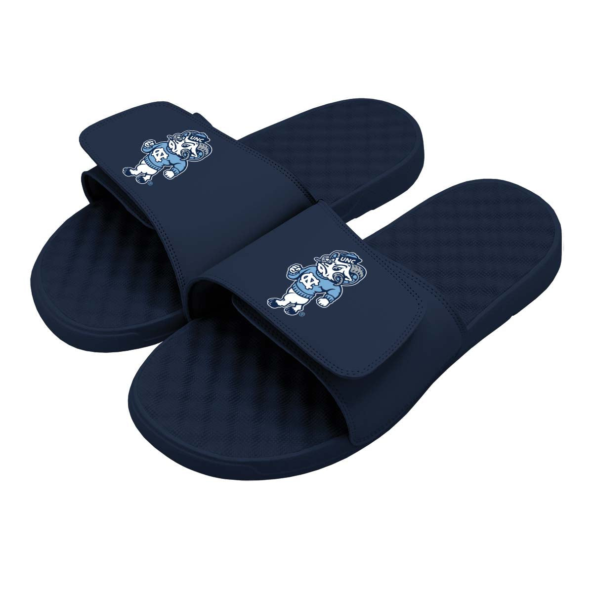 UNC Alternate Mascot Slides 2