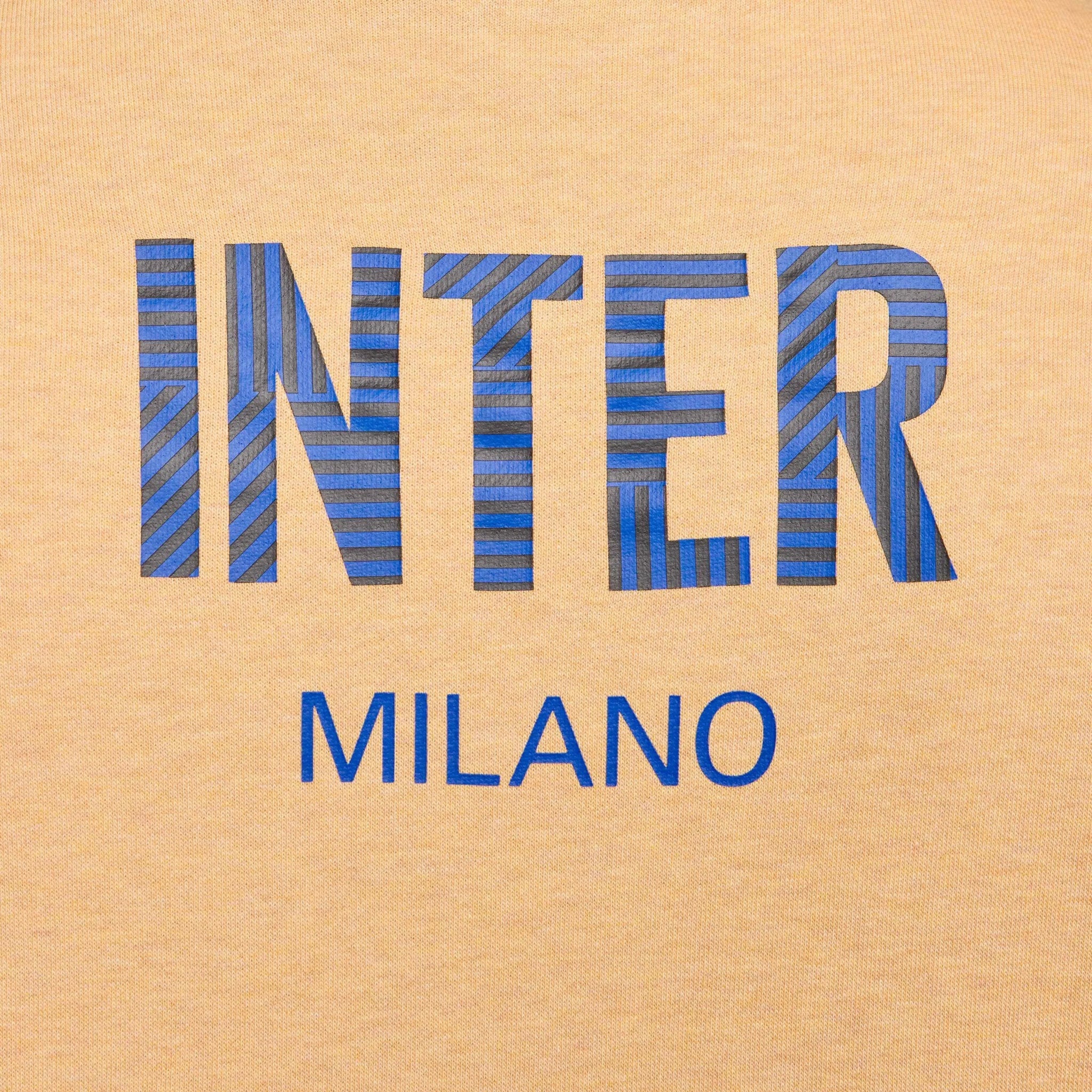Nike 2024-25 Inter Milan Men's Club Pullover Hoodie 6
