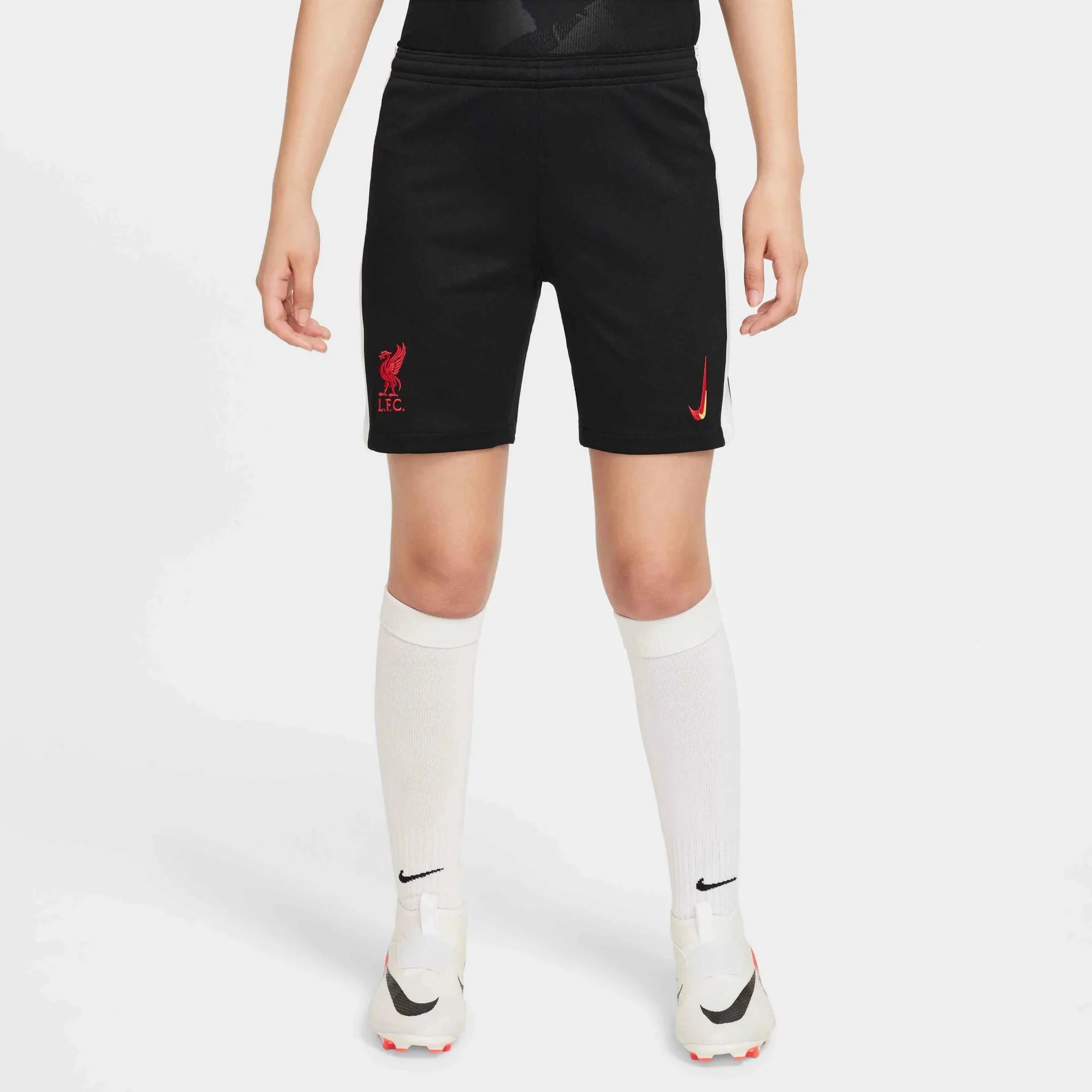 Nike 2024-25 Liverpool Youth Stadium Third Shorts 1