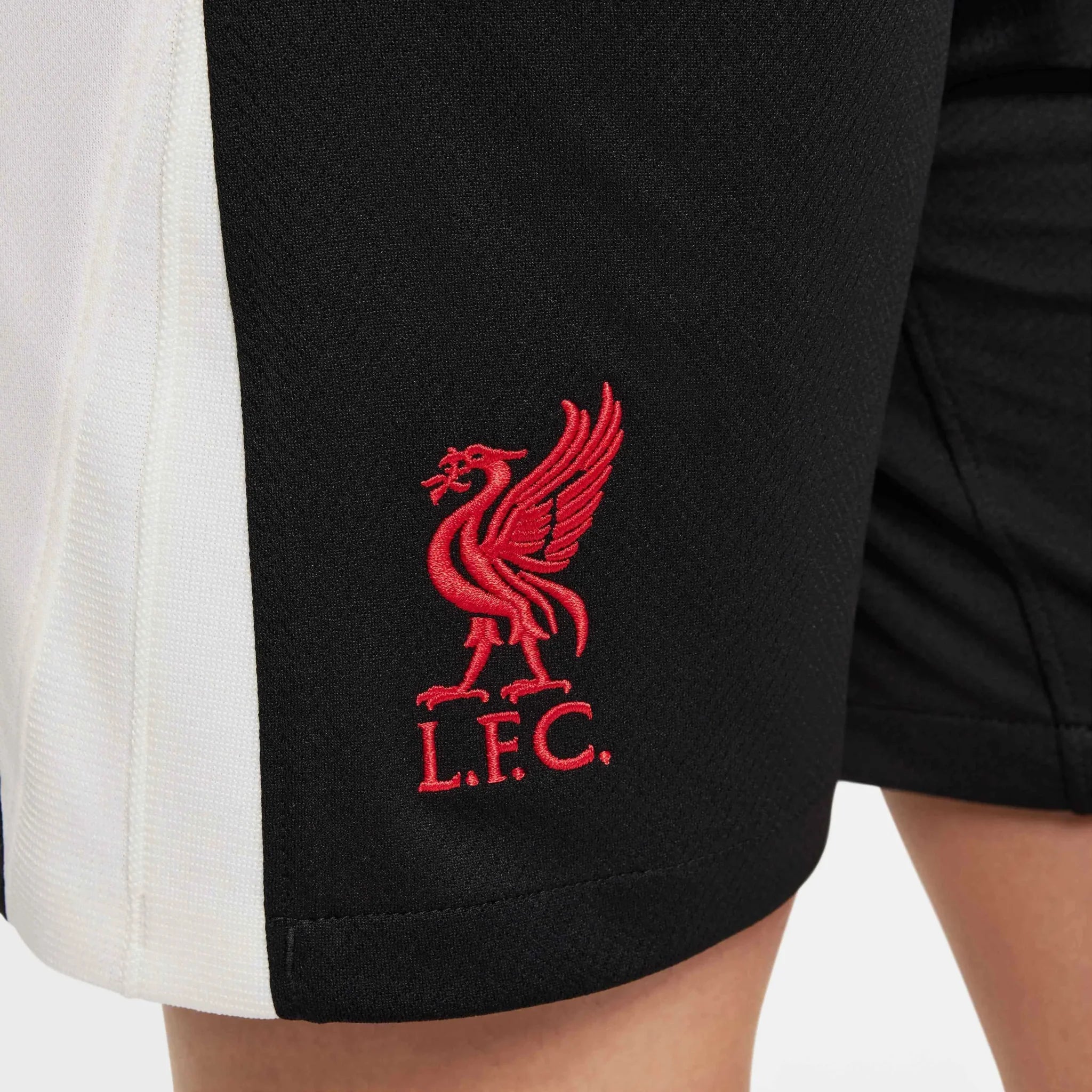 Nike 2024-25 Liverpool Youth Stadium Third Shorts 5