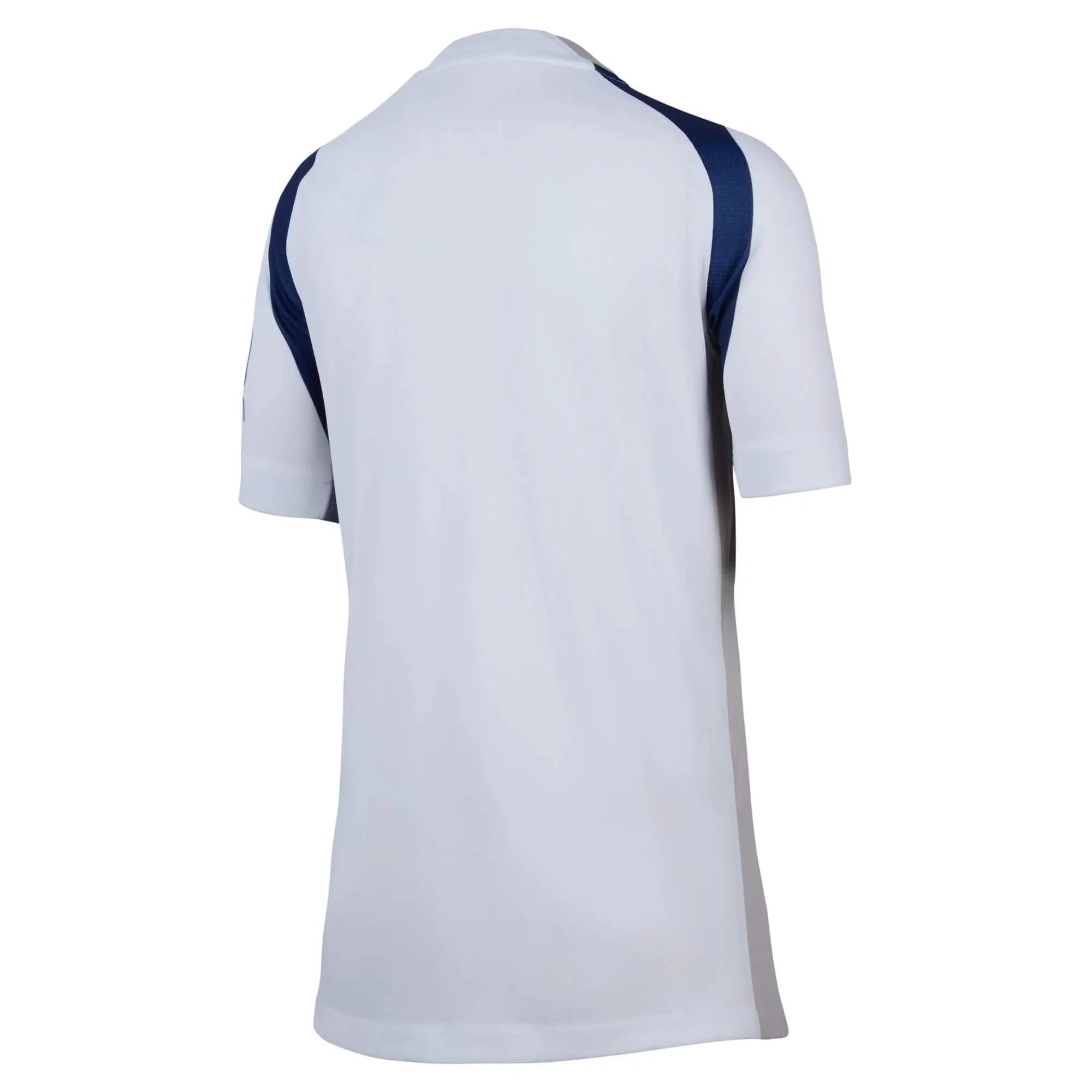 Nike 2025-26 Tottenham Youth Stadium Home Soccer Jersey 2