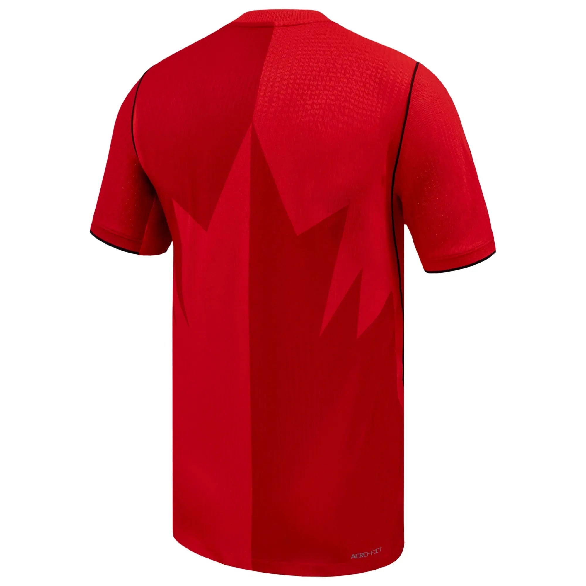 Nike 2026 Canada Men's Authentic Home Soccer Jersey 2