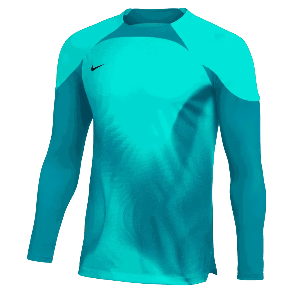 Nike Gardien IV LS Goalkeeper Jersey 1