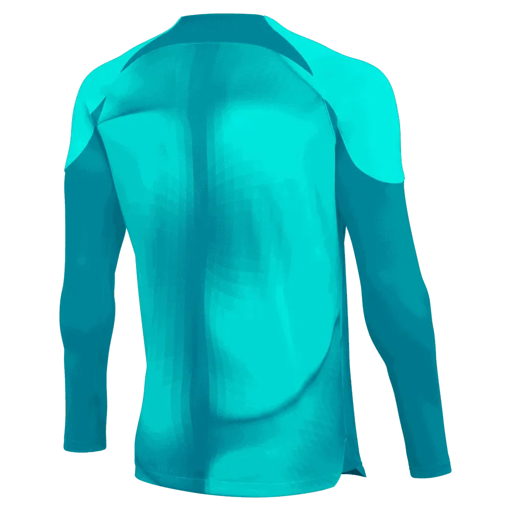 Nike Gardien IV LS Goalkeeper Jersey 2