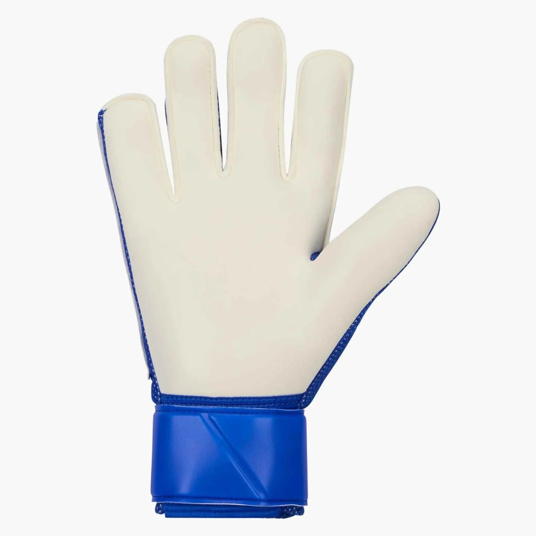 Nike Match Goalkeeper Gloves 2