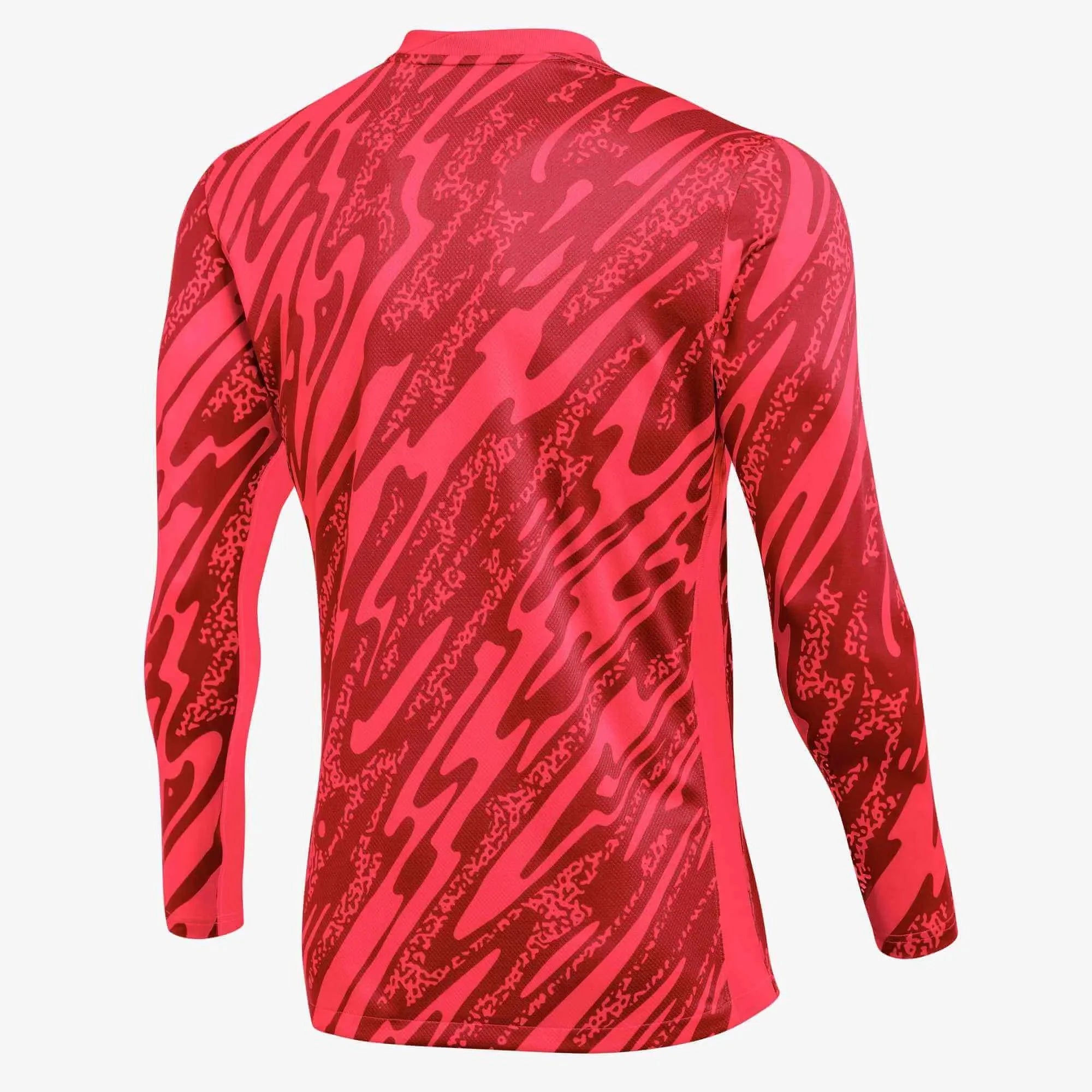 Nike Men's Gardien V LS Goalkeeper Jersey 12