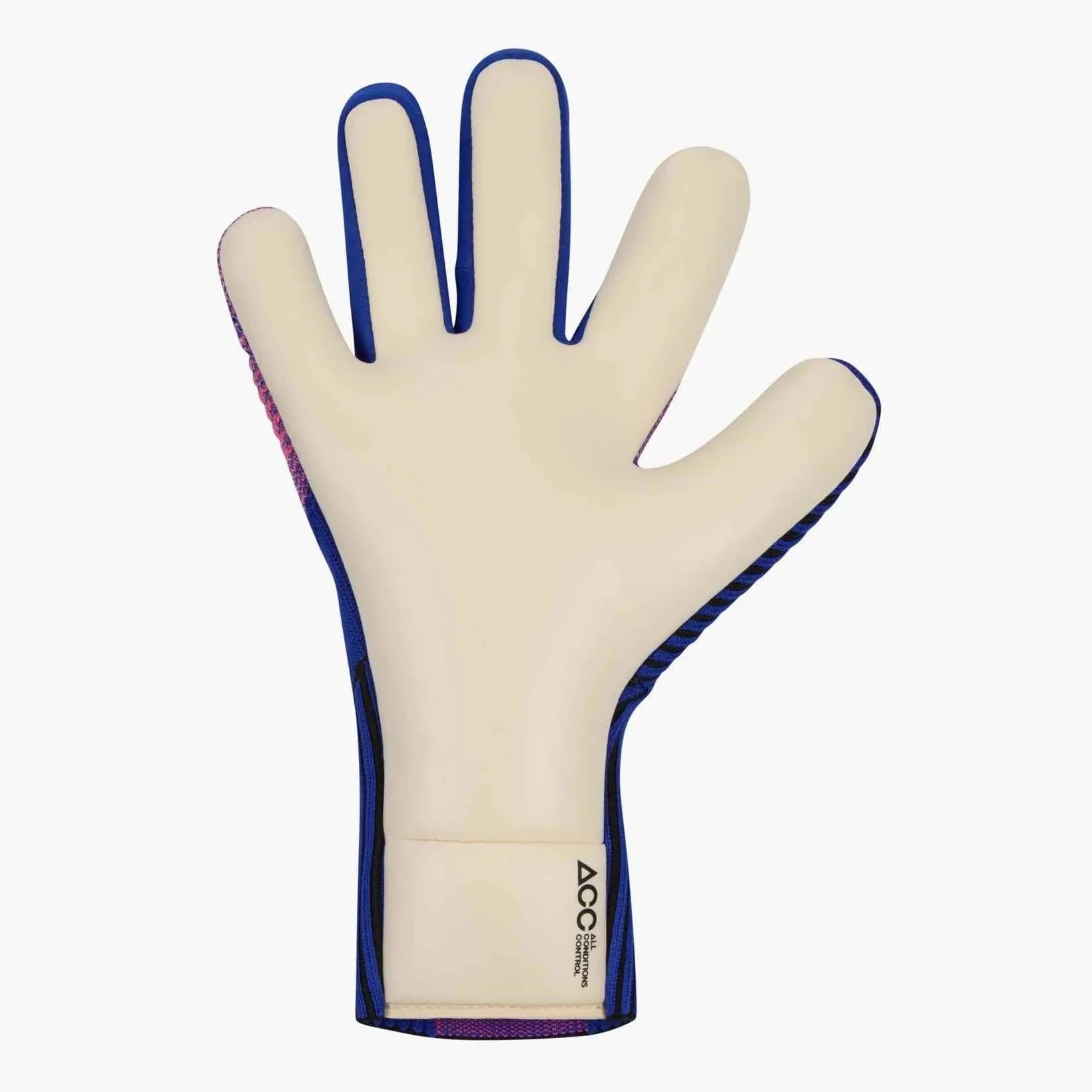 Nike Phantom Dynamic Fit Goalkeeper Gloves 2