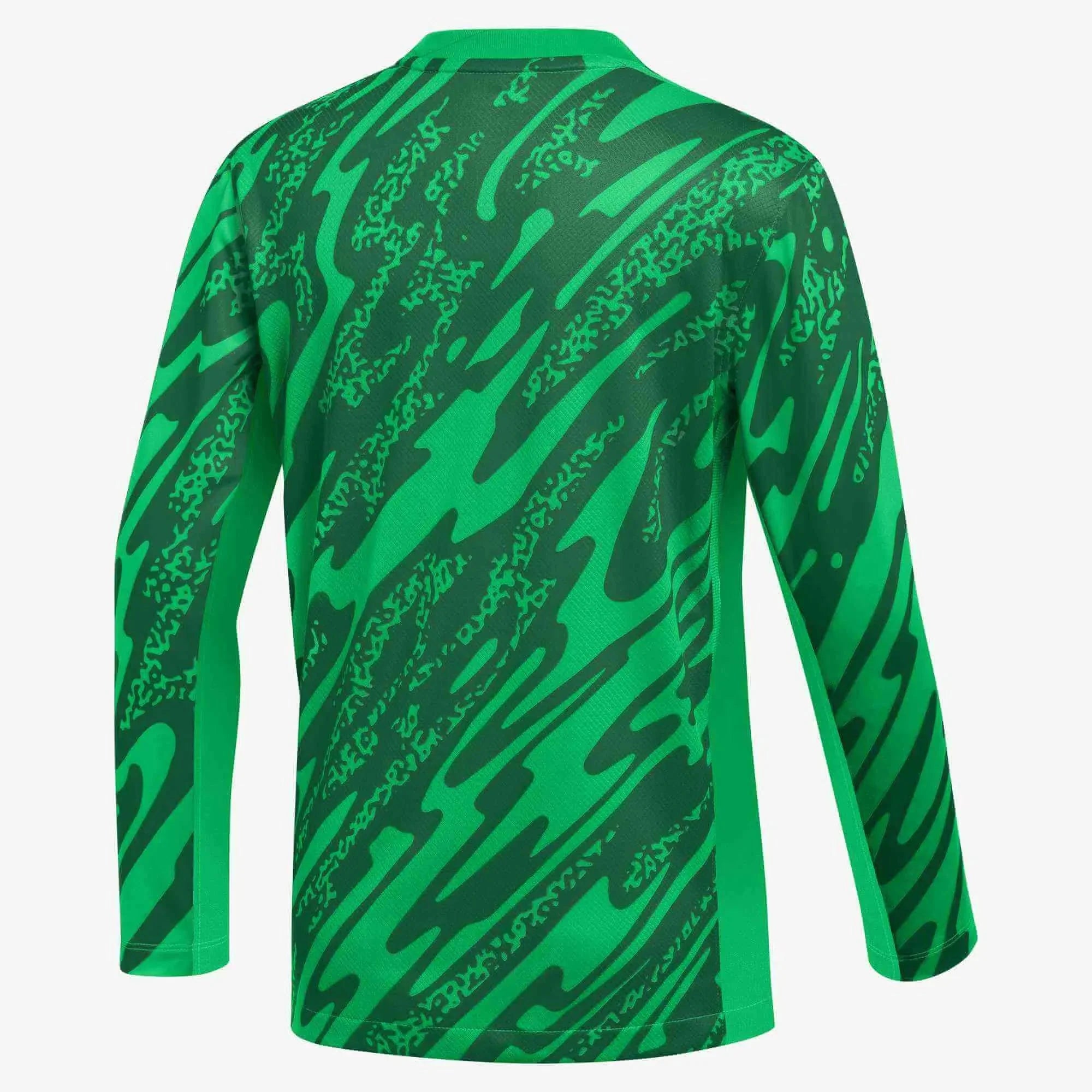 Nike Youth Gardien V LS Goalkeeper Jersey 2