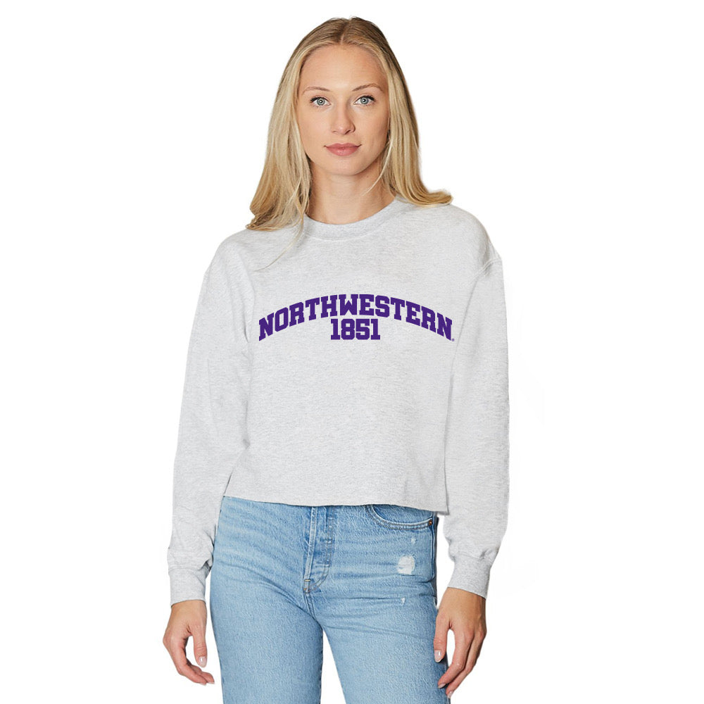 Northwestern Wildcats Established Gray Crewneck | lojobands