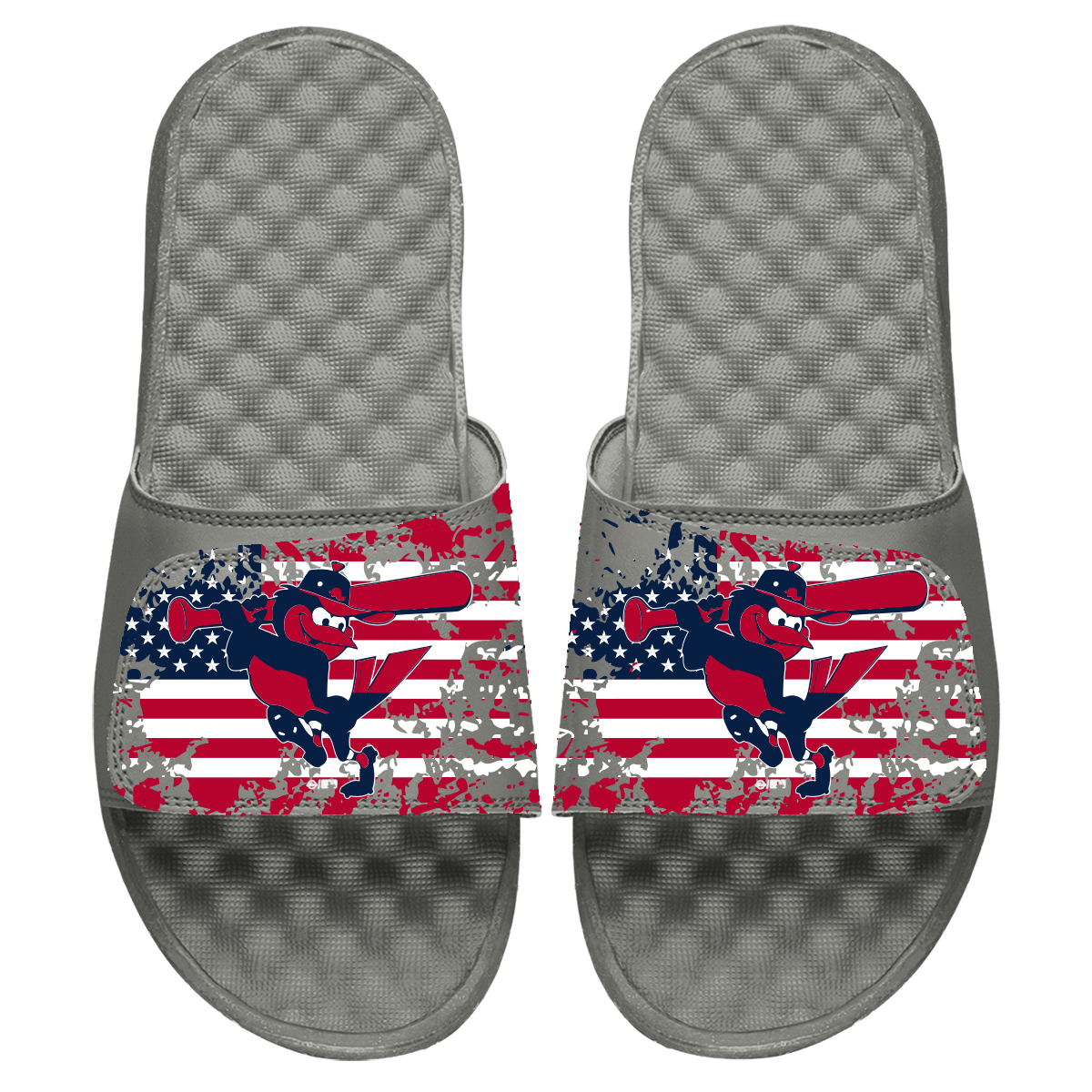 Baltimore Orioles American Flag Slides 2
