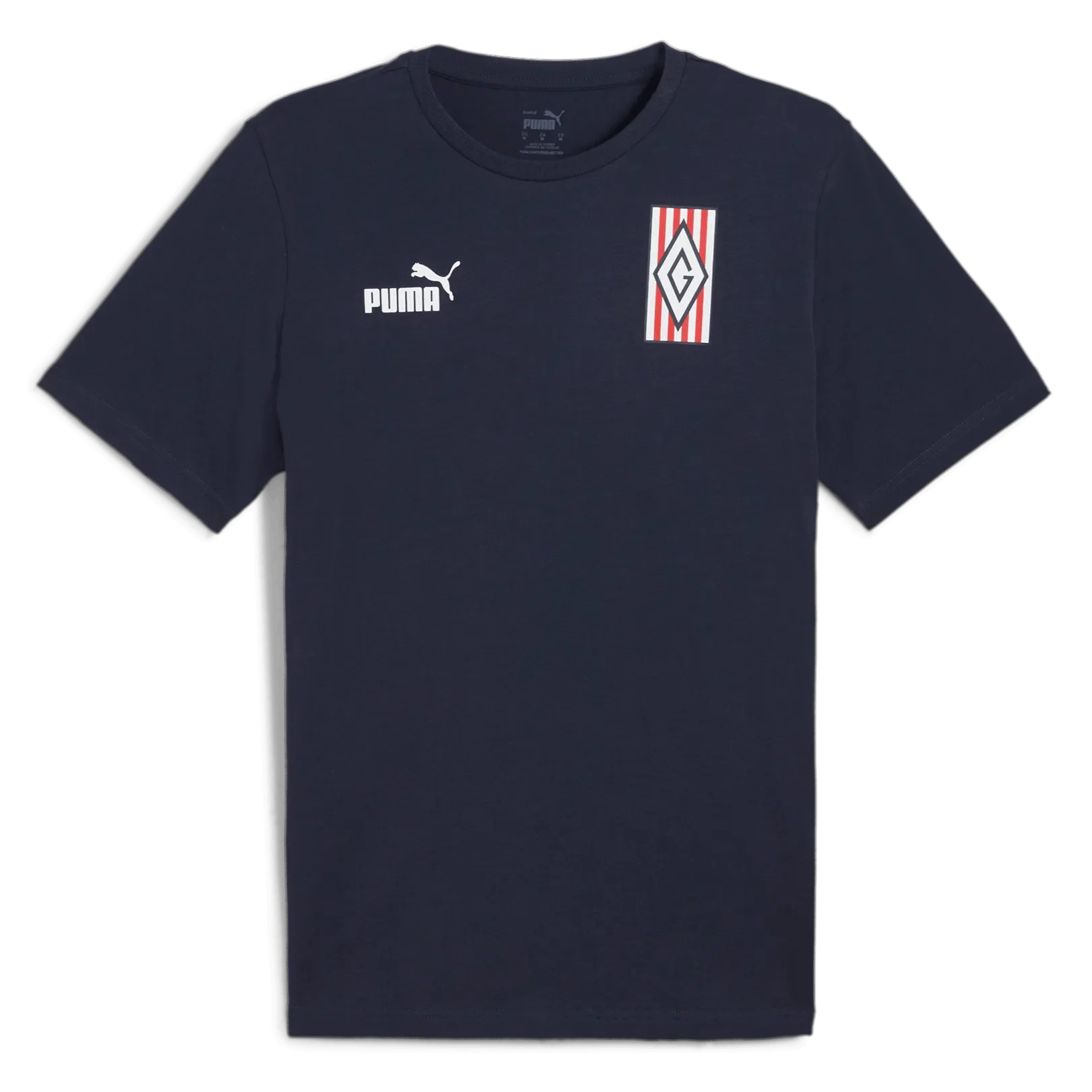 Puma 2024-25 Chivas FTBLCulture Tee 1
