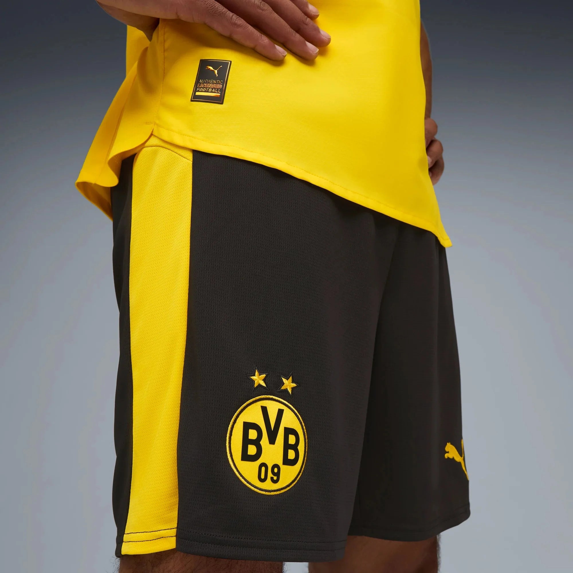 Puma 2025-26 Borussia Dortmund Men's Stadium Home Shorts 5