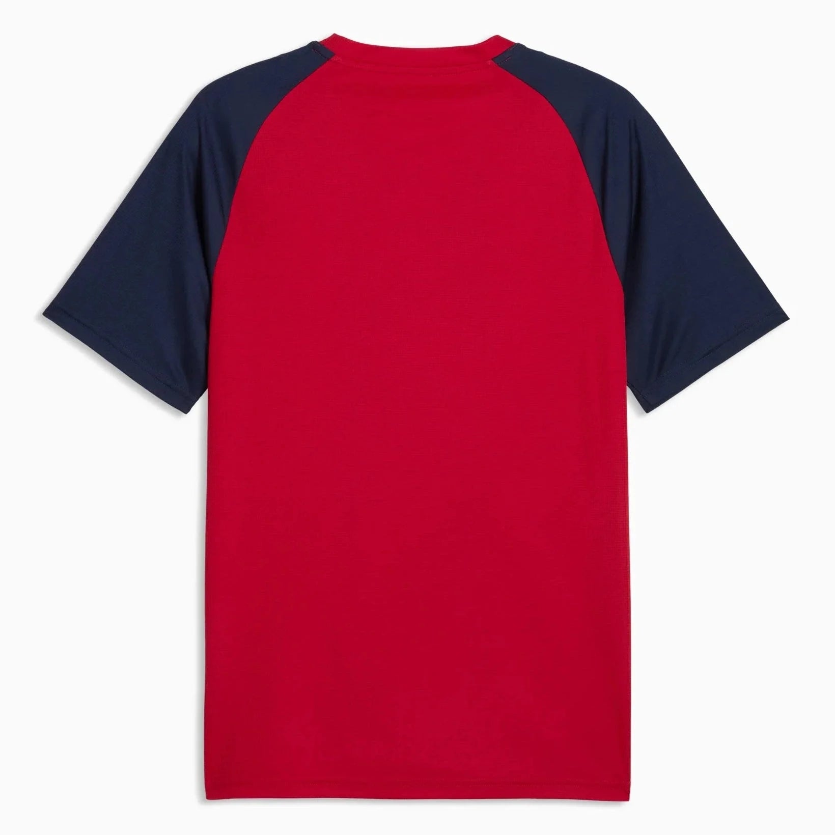 Puma 2026 Czech Republic Men's Pre-Match Soccer Jersey 2
