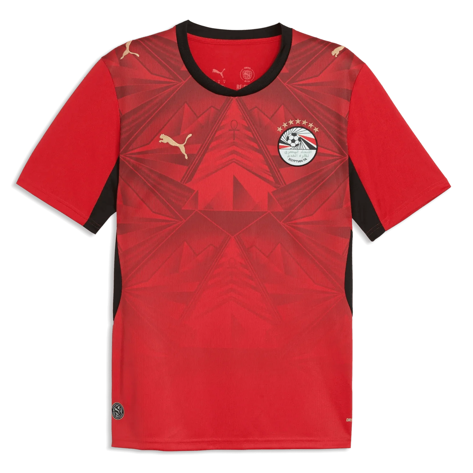 Puma 2026 Egypt Men's Stadium Home Soccer Jersey 1