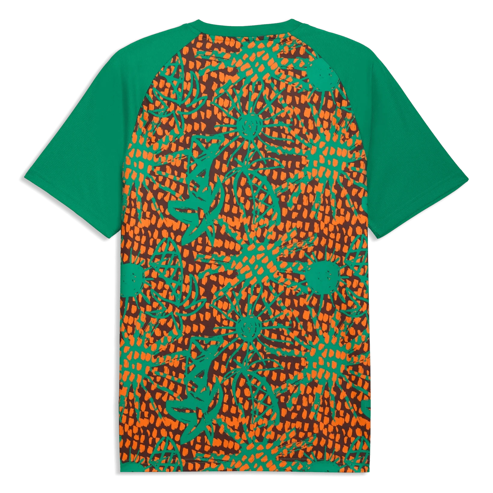 Puma 2026 Ivory Coast Men's Pre-Match Soccer Jersey 2