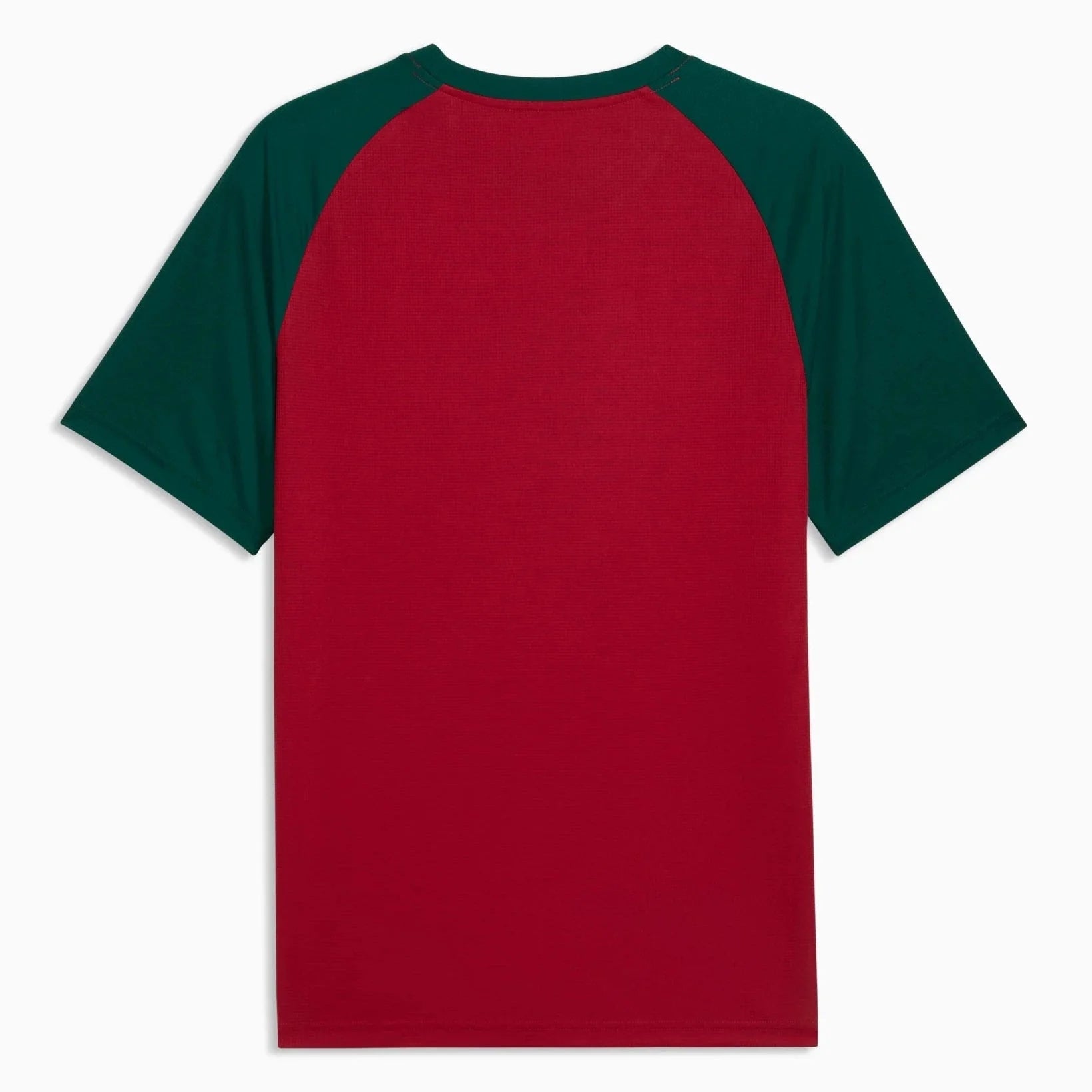 Puma 2026 Morocco Men's Pre-Match Soccer Jersey 2