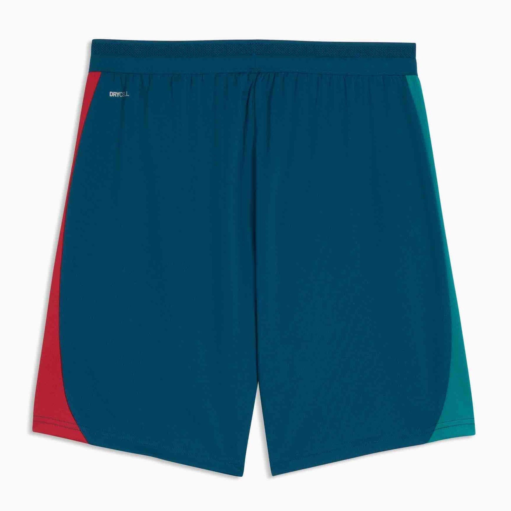 Puma 2026 Portugal Men's Training Shorts 2