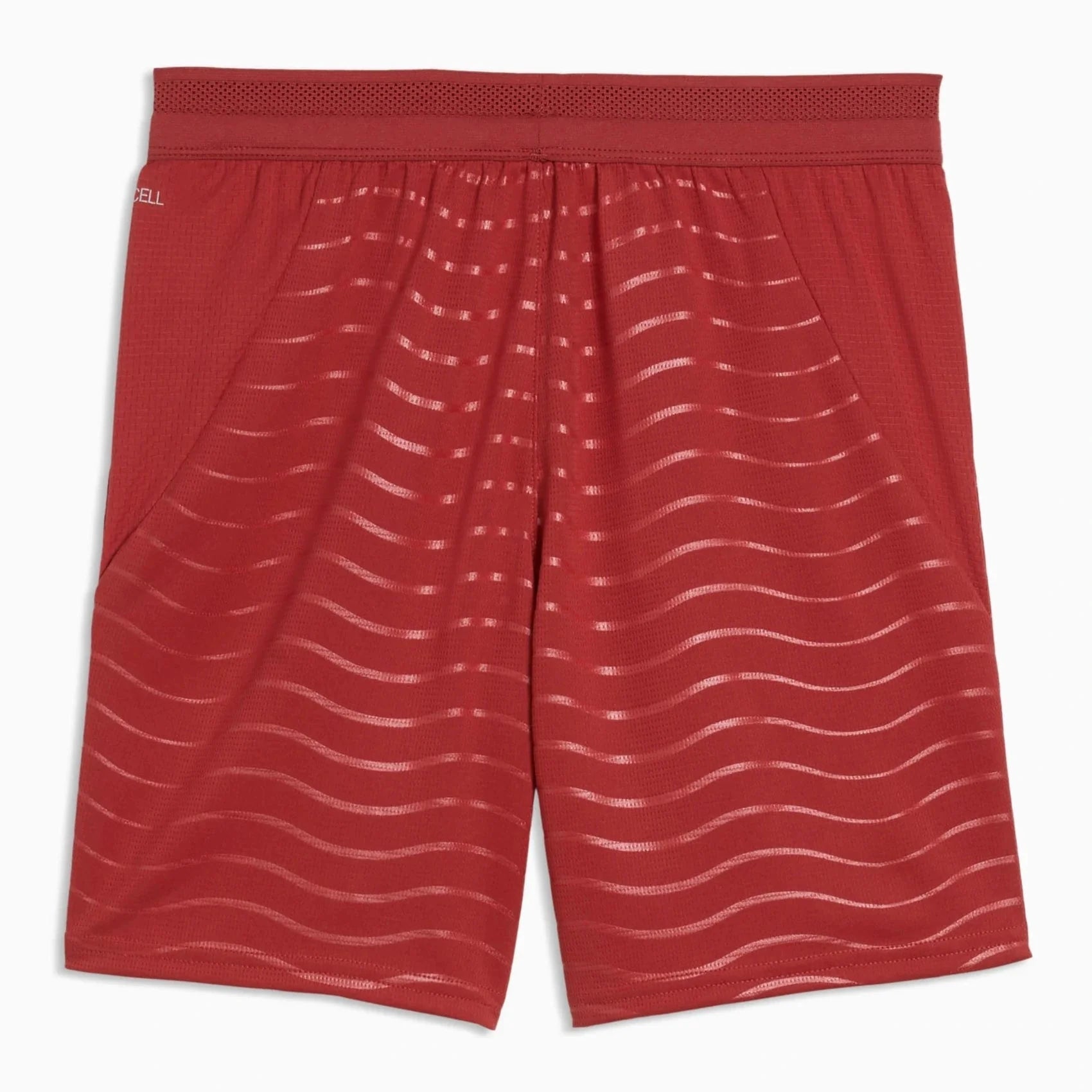 Puma 2026 Portugal Youth Stadium Home Shorts 2
